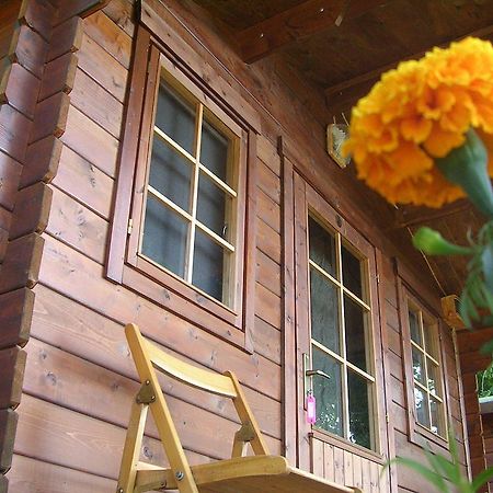 Onur Motel Faralya Ngoại thất bức ảnh